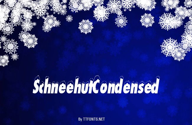 SchneehutCondensed example