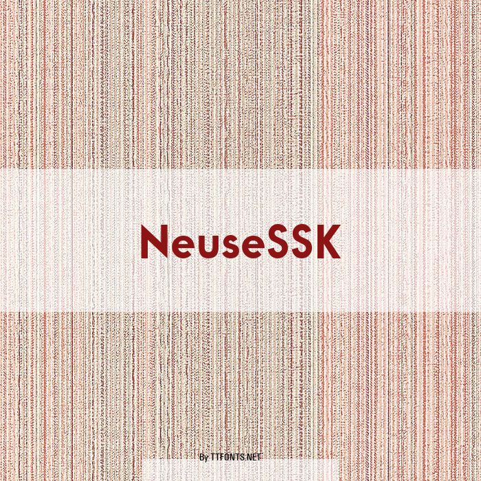 NeuseSSK example