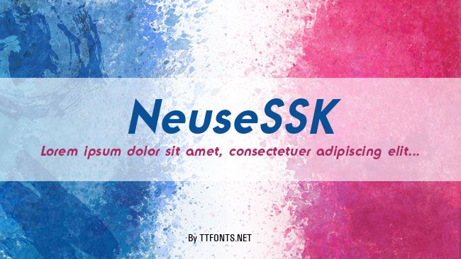 NeuseSSK example