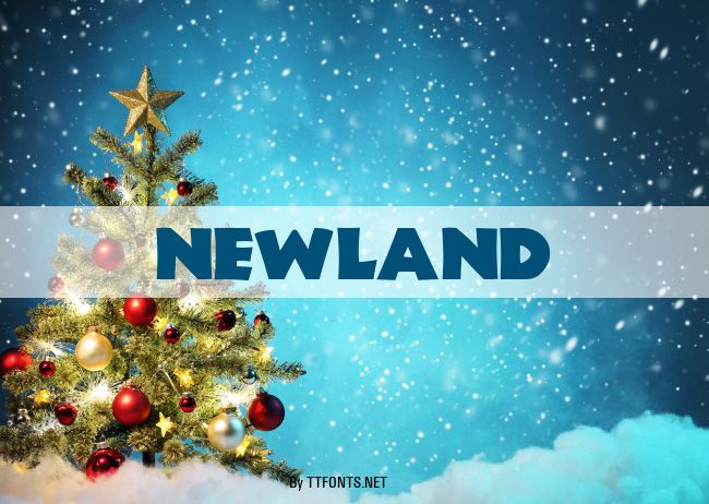 Newland example
