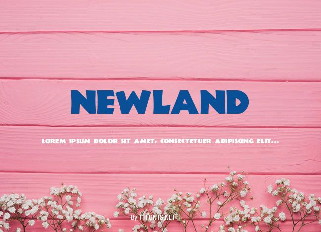 Newland example