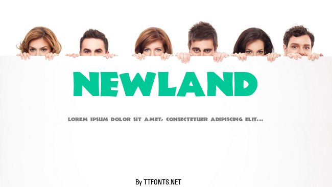 Newland example