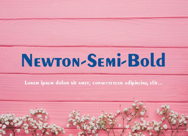 Newton-Semi-Bold example