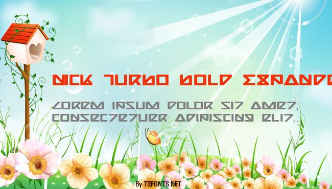 Nick Turbo Bold Expanded example