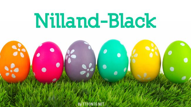 Nilland-Black example