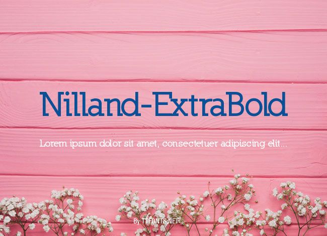 Nilland-ExtraBold example