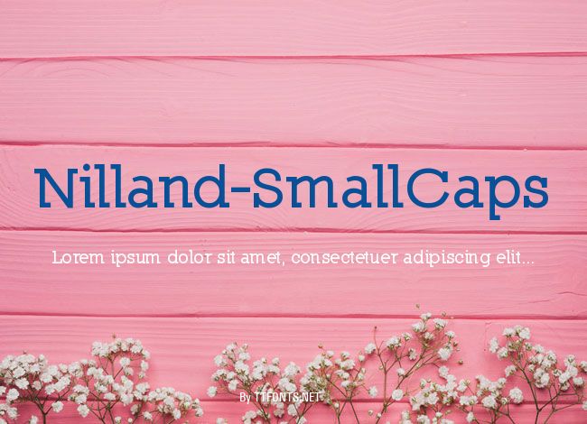 Nilland-SmallCaps example
