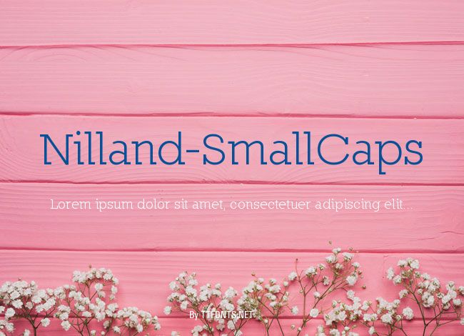 Nilland-SmallCaps example