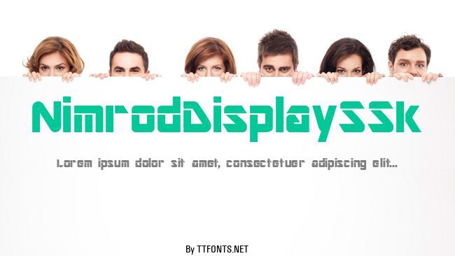 NimrodDisplaySSk example