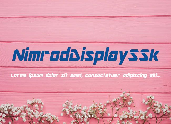 NimrodDisplaySSk example