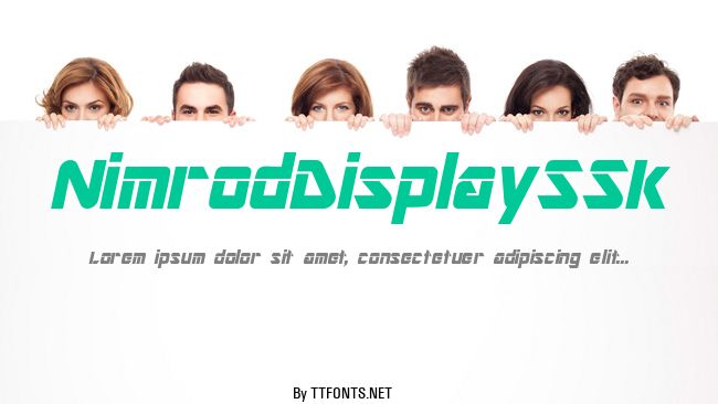 NimrodDisplaySSk example