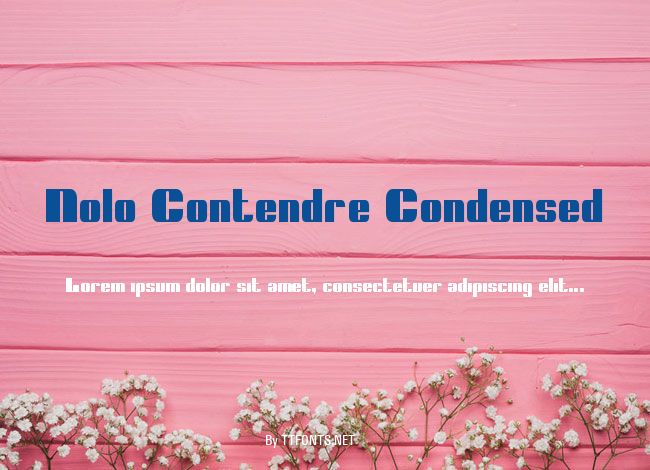 Nolo Contendre Condensed example