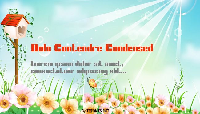 Nolo Contendre Condensed example