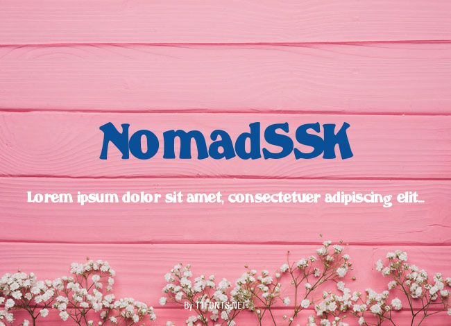 NomadSSK example