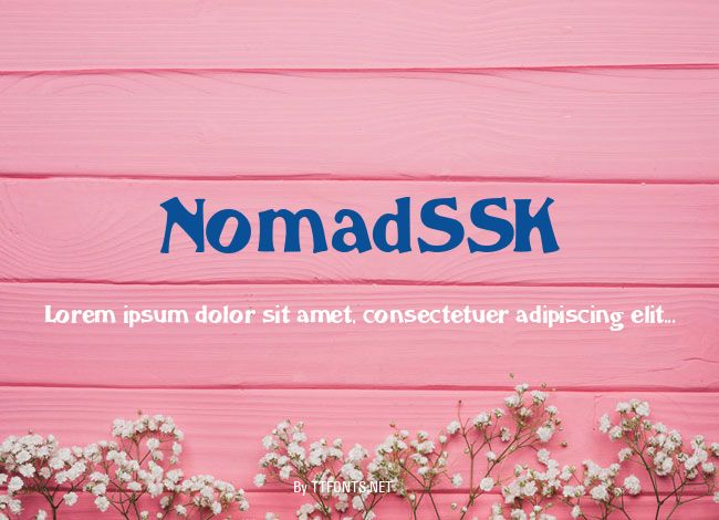 NomadSSK example