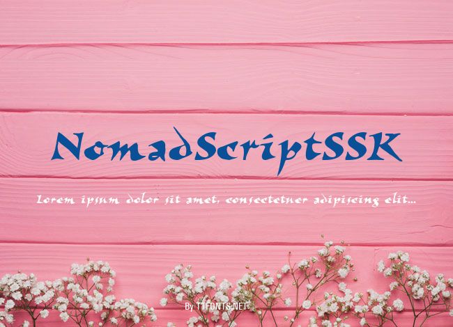 NomadScriptSSK example