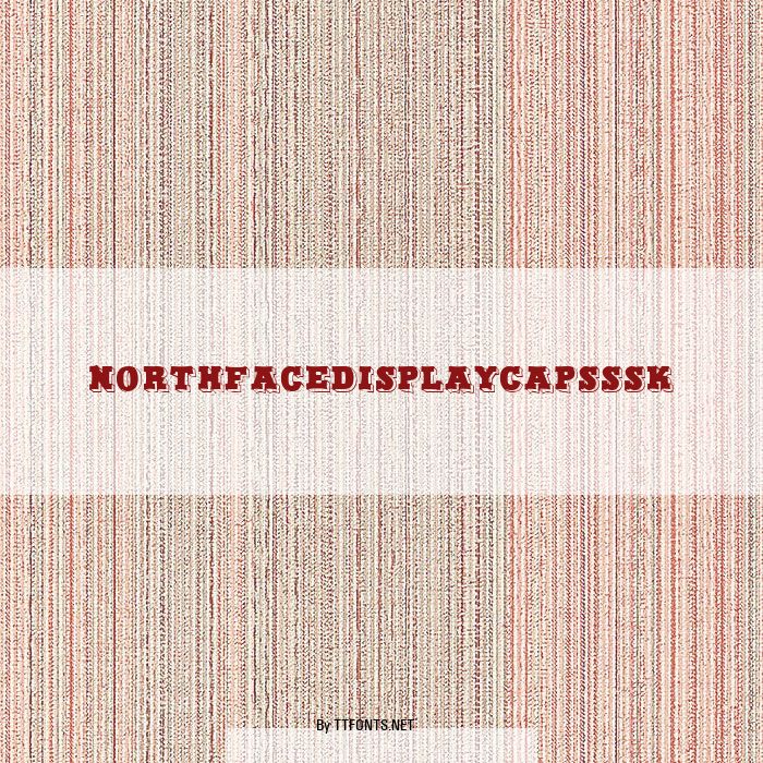 NorthFaceDisplayCapsSSK example