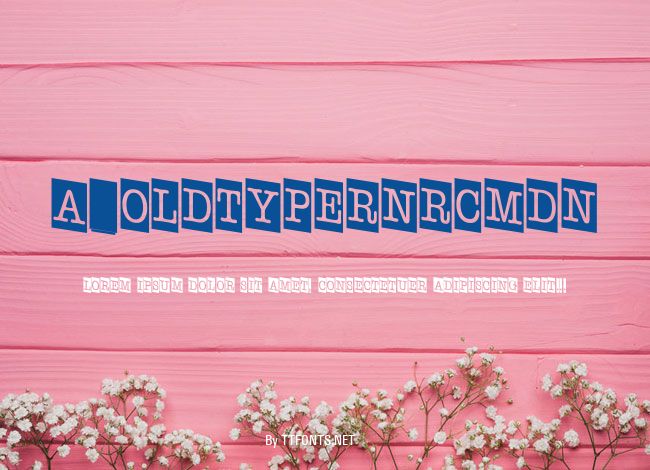 a_OldTyperNrCmDn example
