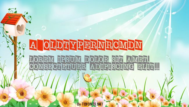 a_OldTyperNrCmDn example
