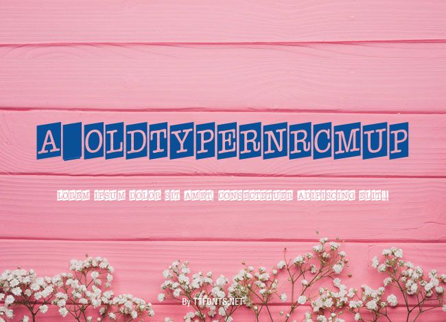 a_OldTyperNrCmUp example
