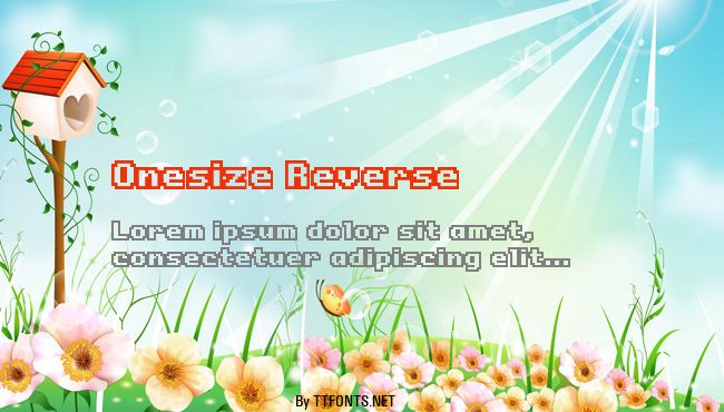 Onesize Reverse example