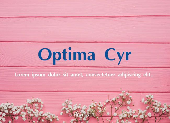 Optima Cyr example