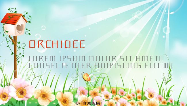 Orchidee example