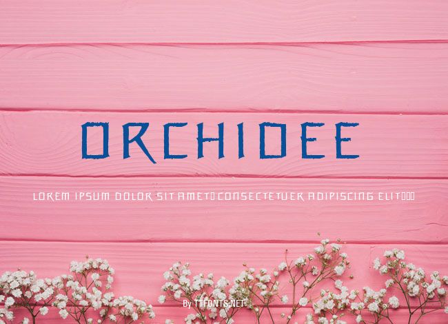 Orchidee example