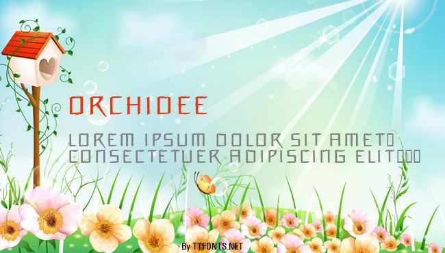 Orchidee example