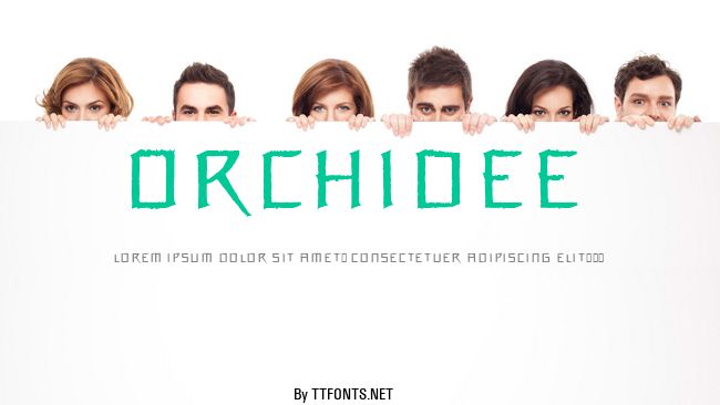 Orchidee example