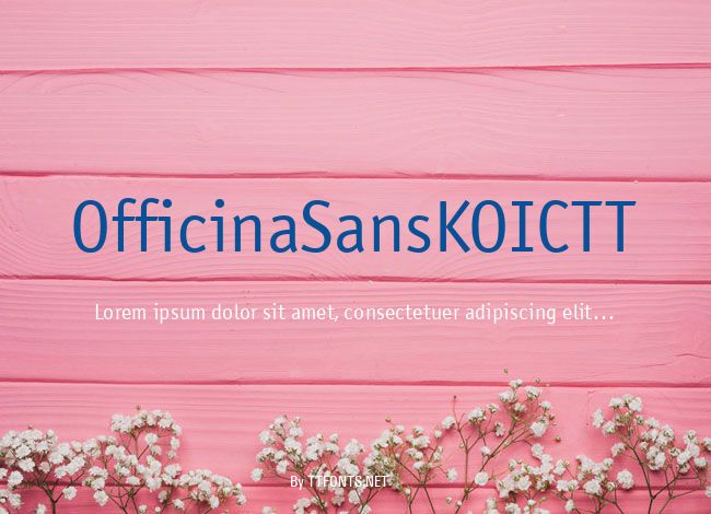 OfficinaSansKOICTT example