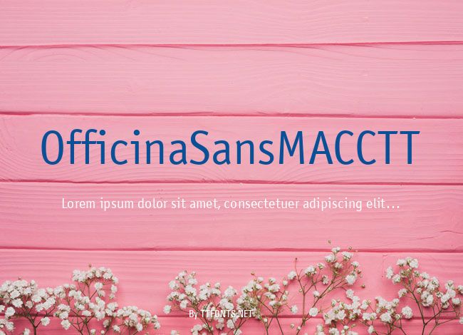 OfficinaSansMACCTT example