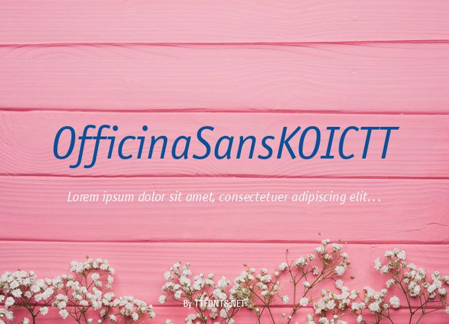 OfficinaSansKOICTT example