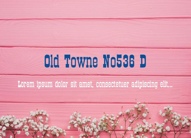 Old Towne No536 D example