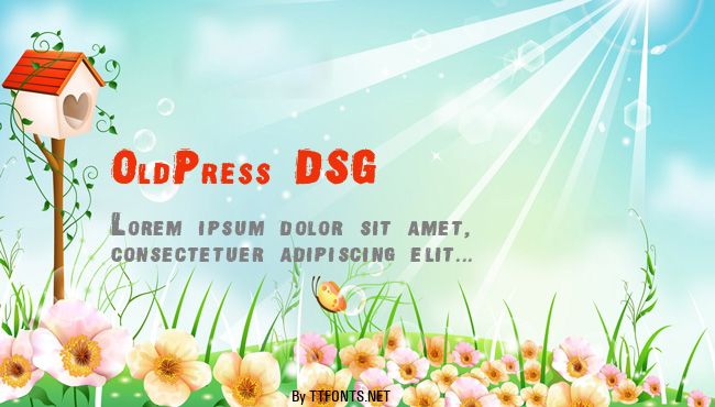 OldPress DSG example