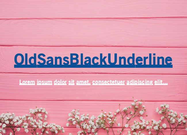 OldSansBlackUnderline example