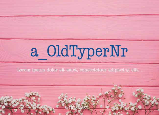 a_OldTyperNr example