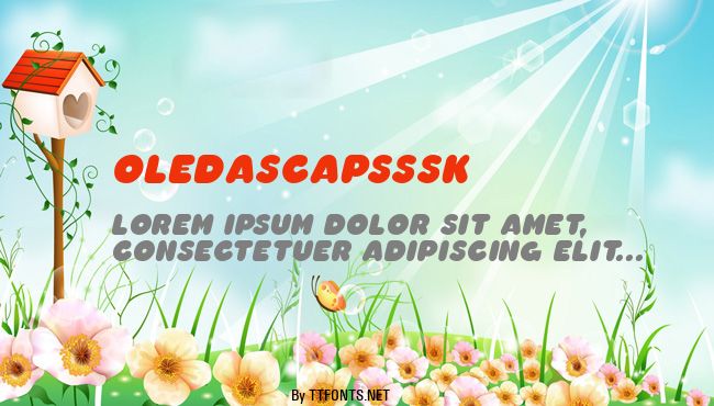 OledaSCapsSSK example