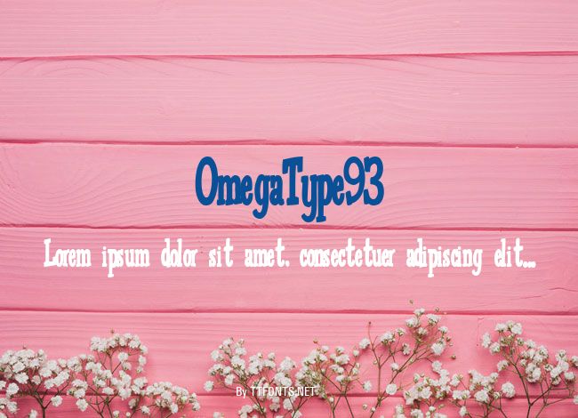 OmegaType93 example