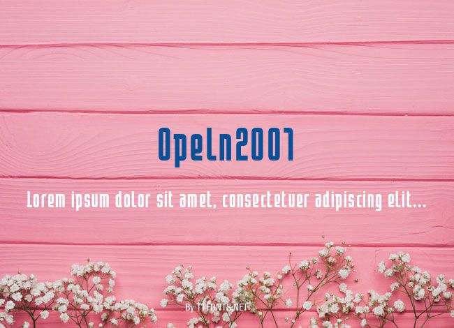 Opeln2001 example