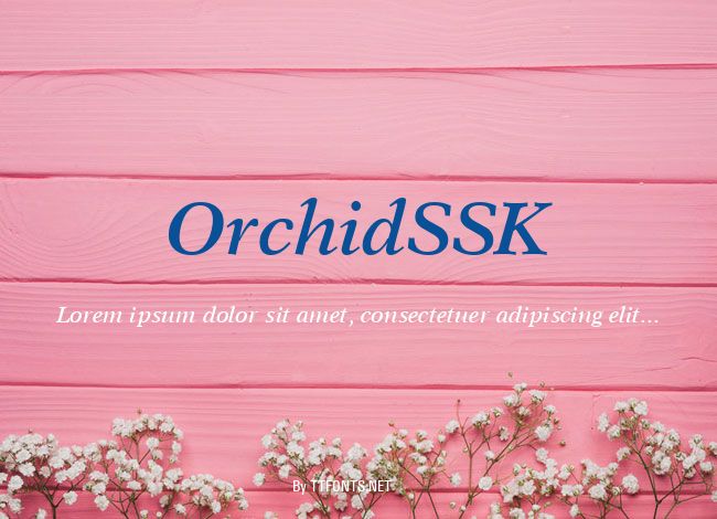 OrchidSSK example