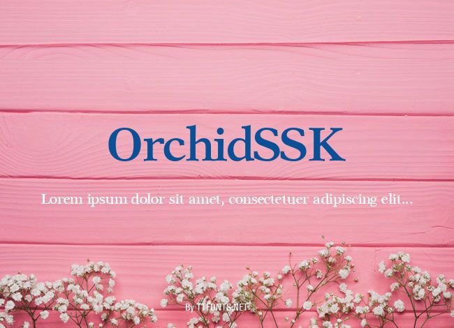 OrchidSSK example