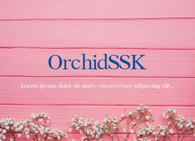 OrchidSSK example