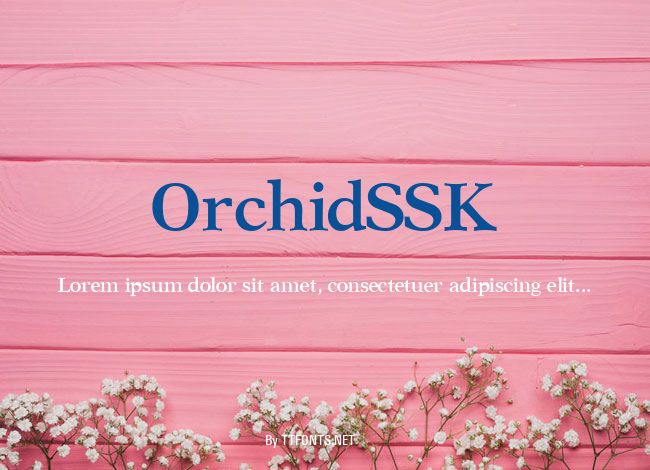 OrchidSSK example
