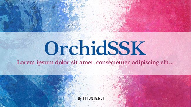 OrchidSSK example