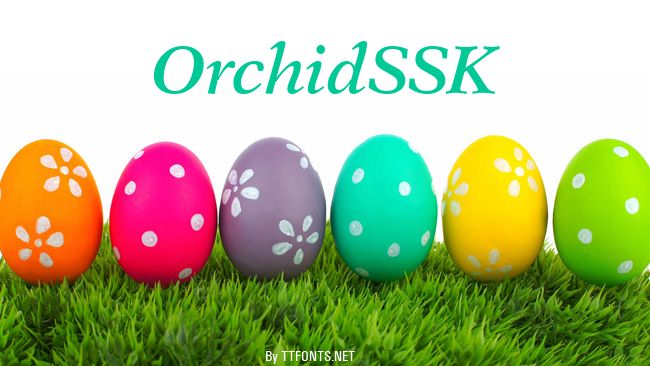 OrchidSSK example