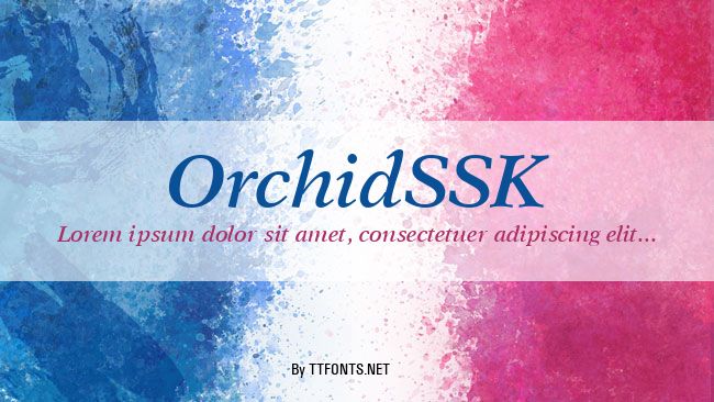 OrchidSSK example