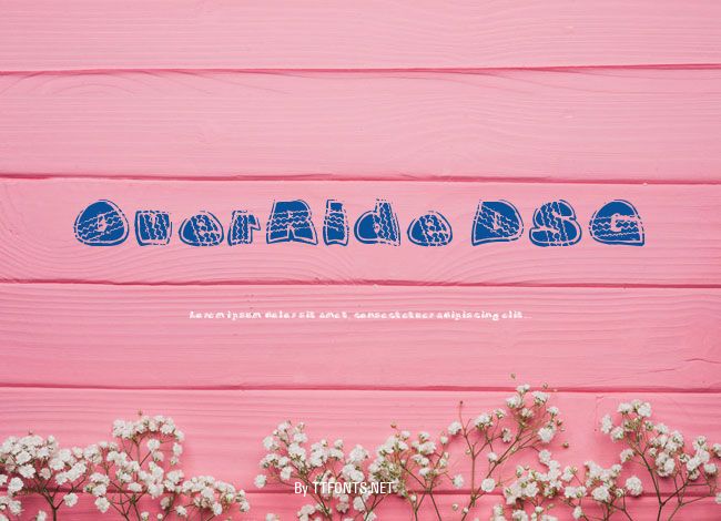 OverRide DSG example