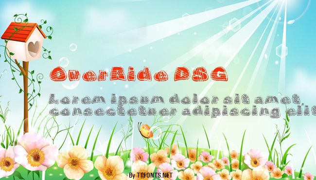 OverRide DSG example