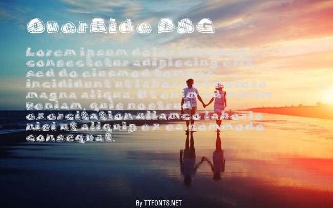 OverRide DSG example